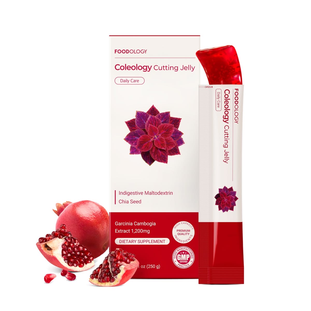 Gelatina cutting jelly FOODOLOGY